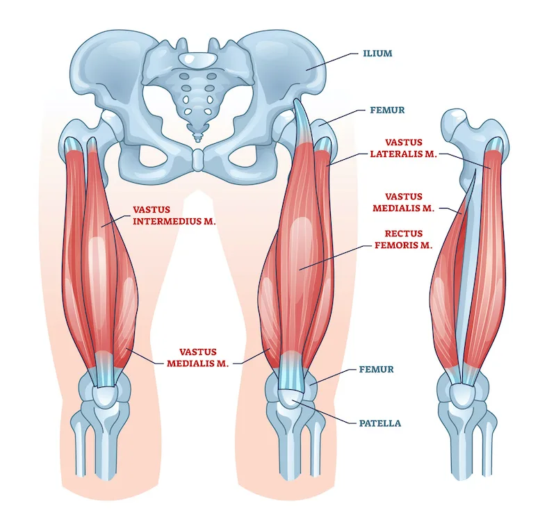 – Brookfield Chiropractor