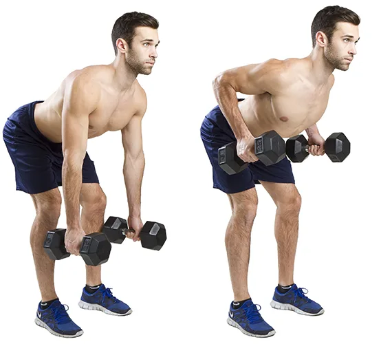 bent_rows_neutral_grip