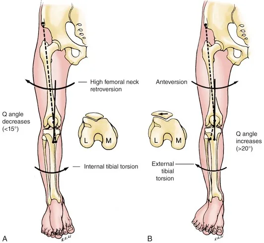 – Brookfield Chiropractor