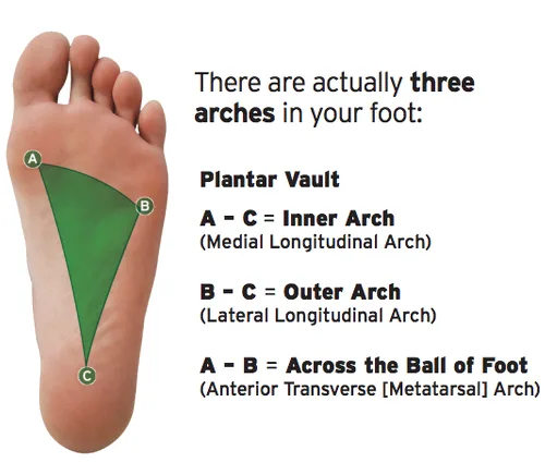 – Brookfield Chiropractor