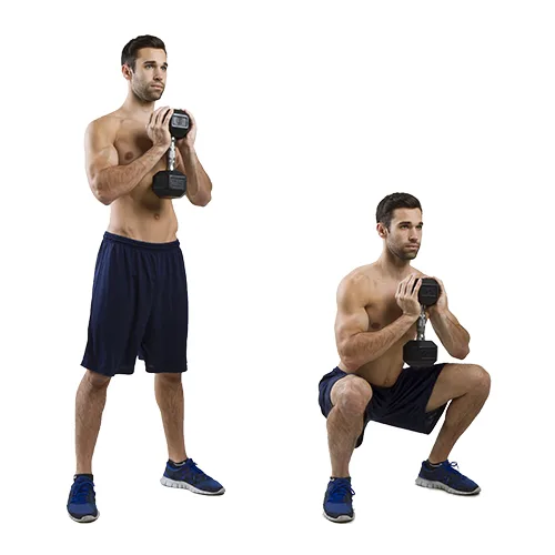 goblet-squat-500