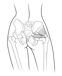 – Brookfield Chiropractor