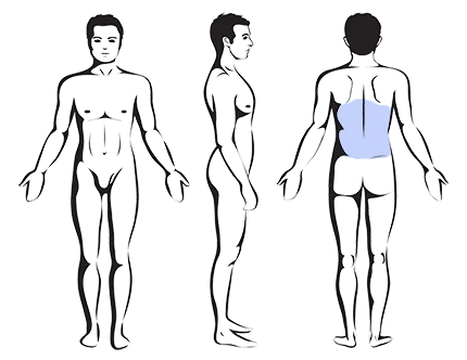 – Brookfield Chiropractor