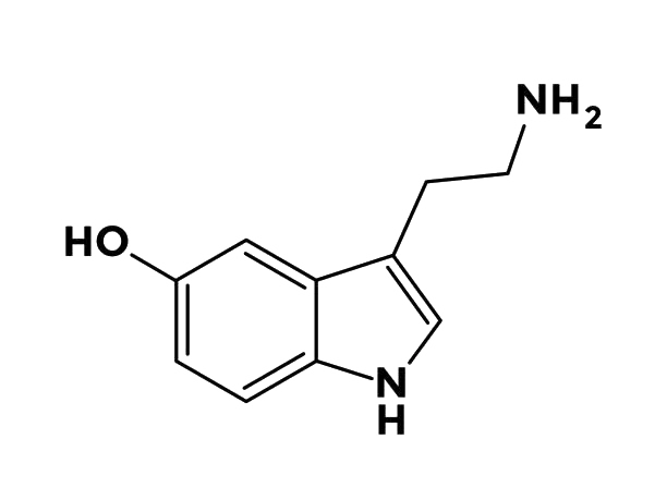 serotonin