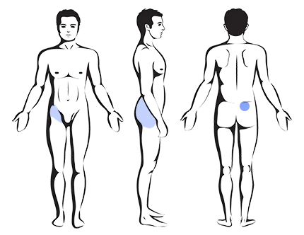 – Brookfield Chiropractor