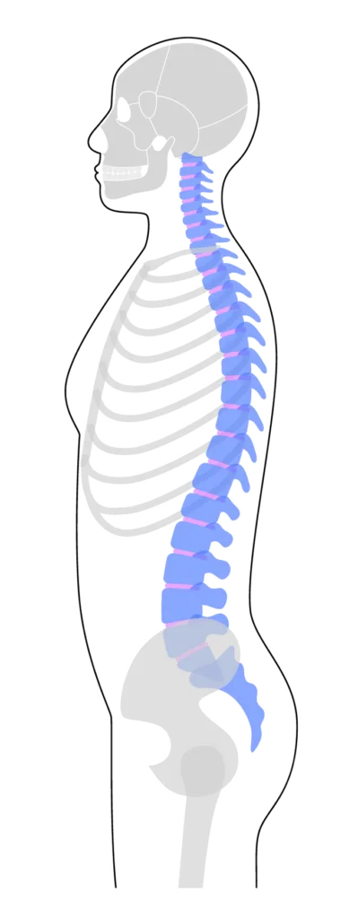 – Brookfield Chiropractor