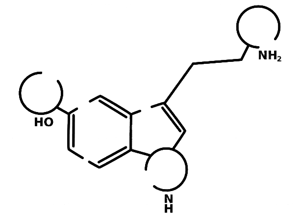 oxytocinnew