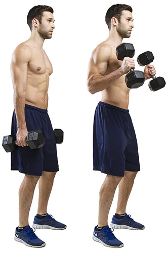 hammer_curls