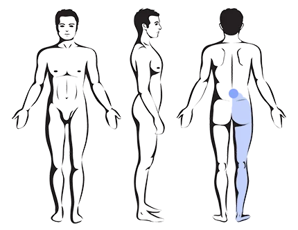– Brookfield Chiropractor