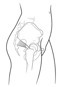 – Brookfield Chiropractor