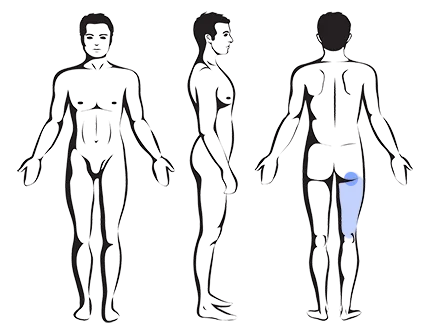 – Brookfield Chiropractor