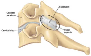 – Brookfield Chiropractor