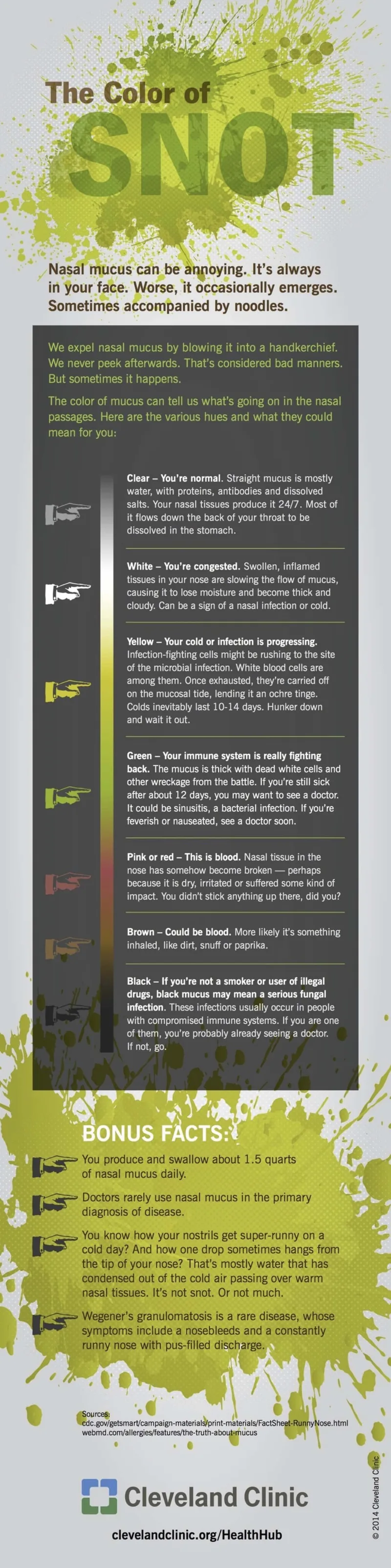 – Brookfield Chiropractor