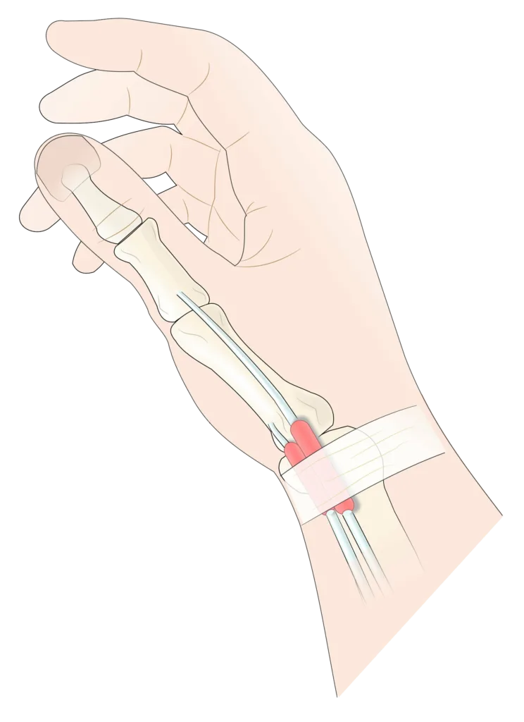 – Brookfield Chiropractor