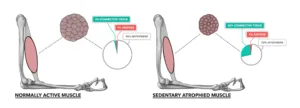 – Brookfield Chiropractor