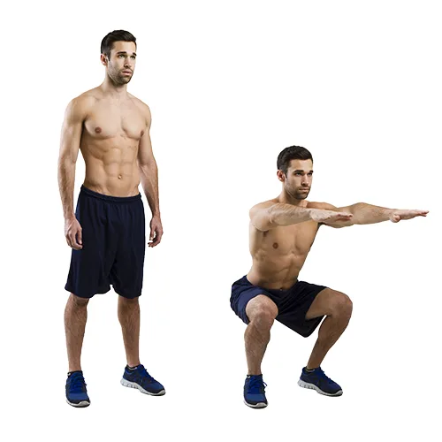 squat500