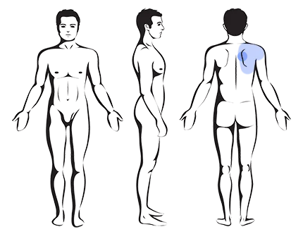 – Brookfield Chiropractor