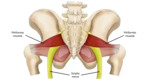 – Brookfield Chiropractor