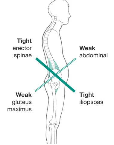 – Brookfield Chiropractor