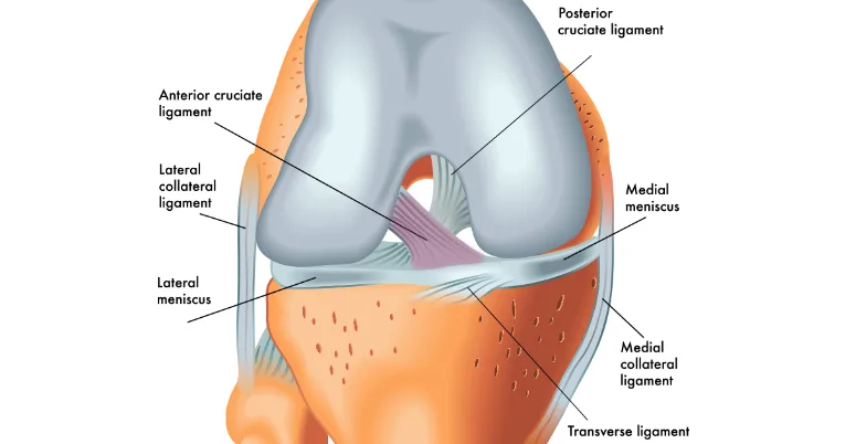 – Brookfield Chiropractor