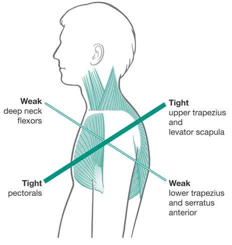 – Brookfield Chiropractor