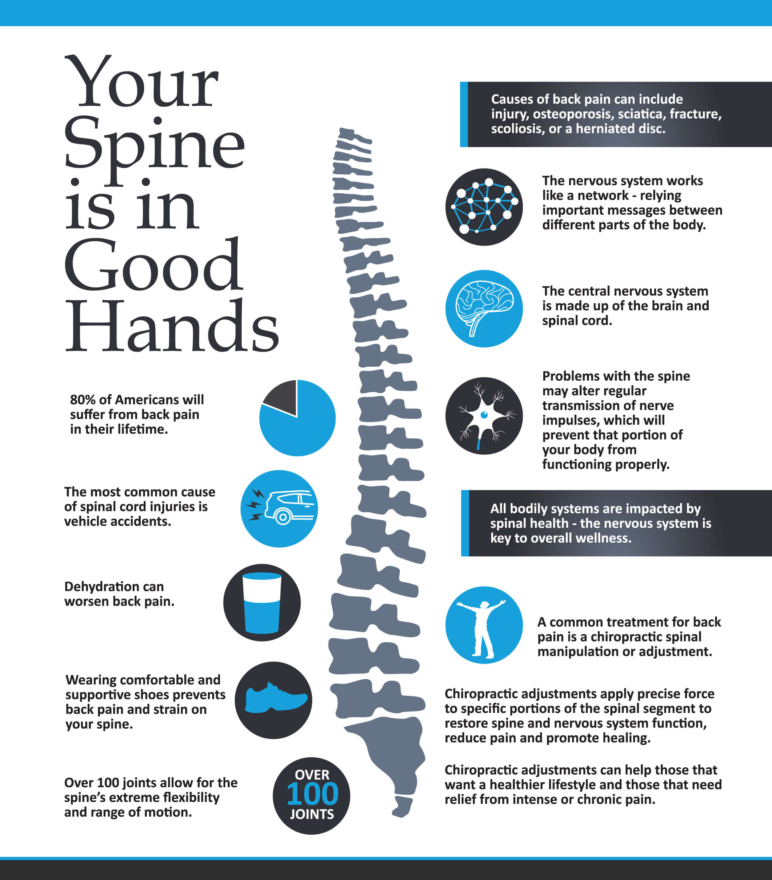 Your Spine Is In Good Hands: Infographic – Brookfield Chiropractor