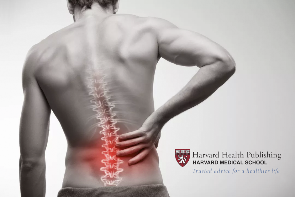 Harvard Medical School: Chiropractic Should Be Your First Option For Back Pain