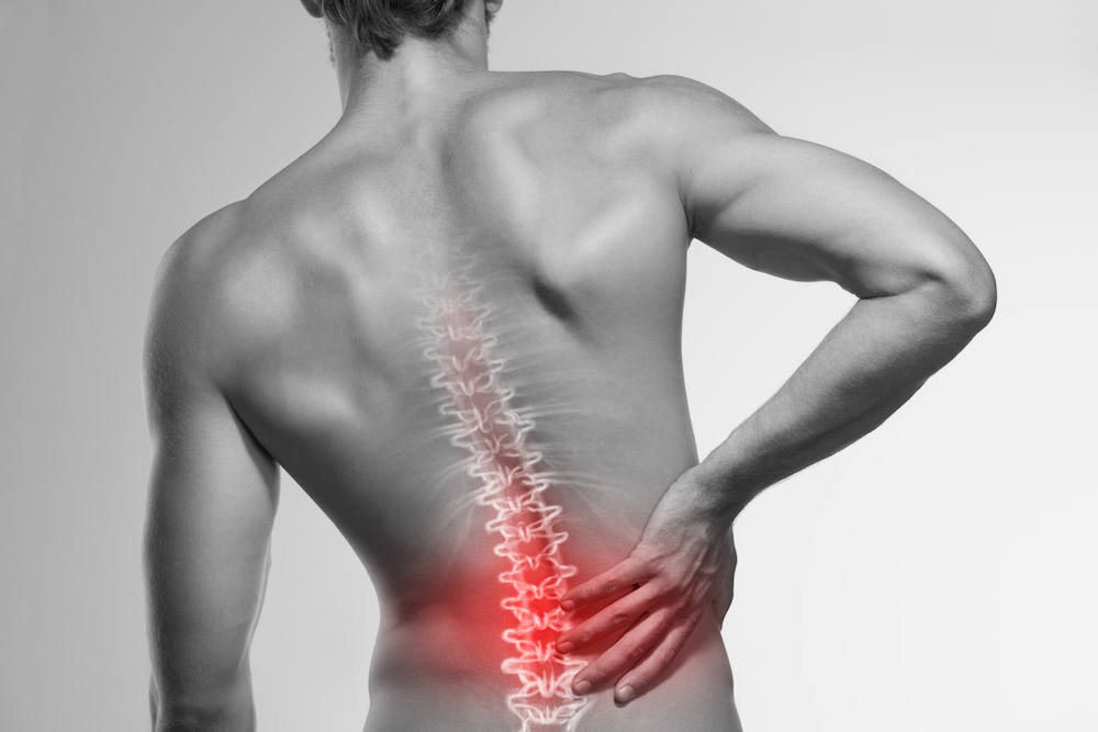 We’ve Got a Bone To Pick: Medication vs. Acupuncture vs. Chiropractic For Back Pain
