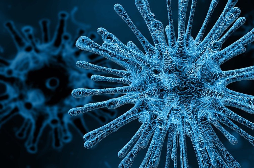 Coronavirus: How To (Actually) Boost Your Immune System