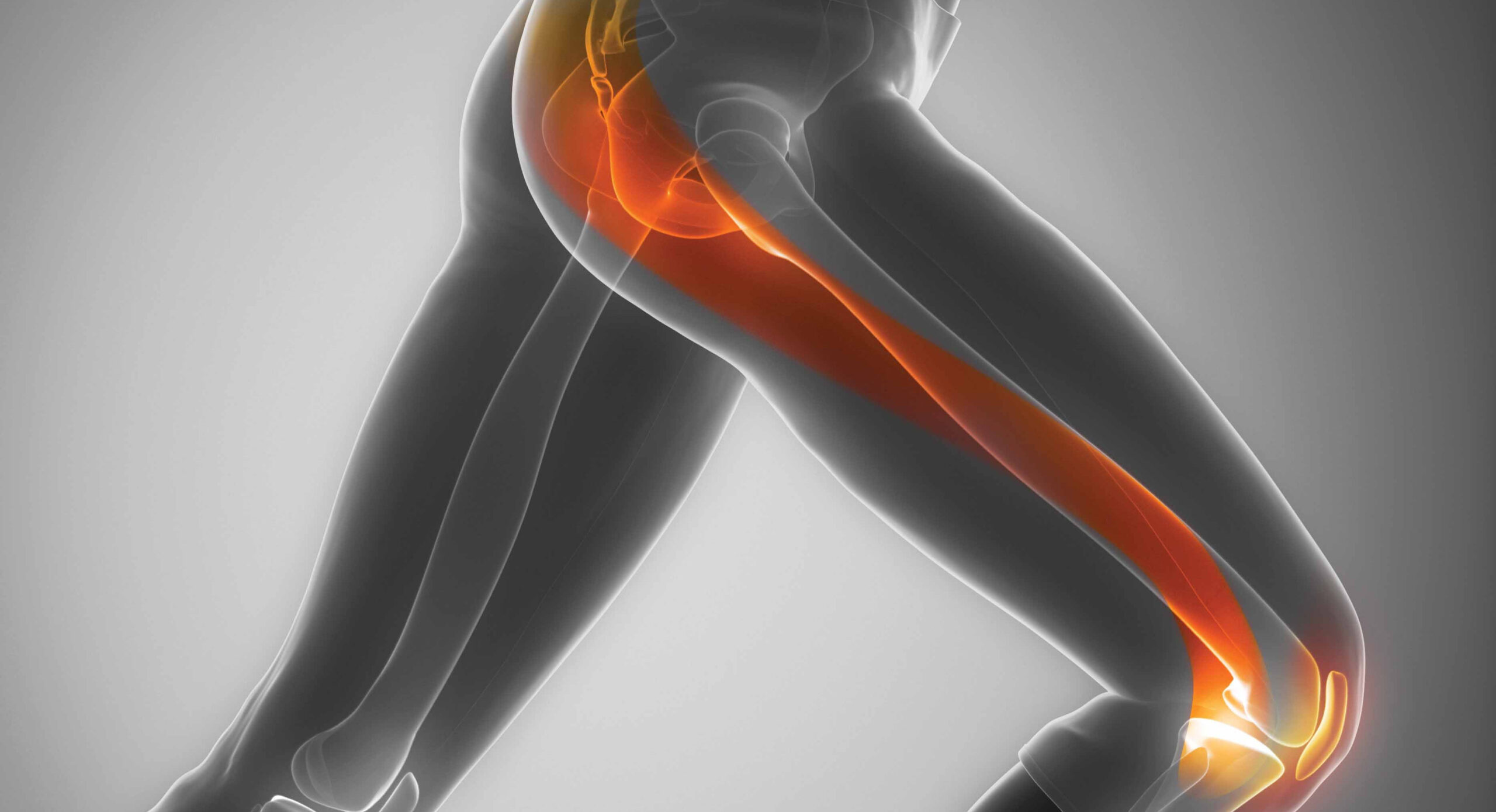 Your IT Band is Not the Enemy (But Maybe Your Foam Roller Is) - Breaking  Muscle